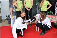 Chrt_dostihy_Praha_Greyhound_Racing_CGDF_Svatovaclavska_cena_2016_107.jpg