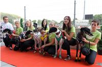 Chrt_dostihy_Praha_Greyhound_Racing_CGDF_Svatovaclavska_cena_2016_115.jpg