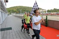 Chrt_dostihy_Praha_Greyhound_Racing_CGDF_Svatovaclavska_cena_2016_127.jpg