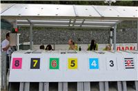 Chrt_dostihy_Praha_Greyhound_Racing_CGDF_Svatovaclavska_cena_2016_130.jpg