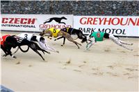 Chrt_dostihy_Praha_Greyhound_Racing_CGDF_Svatovaclavska_cena_2016_138.jpg