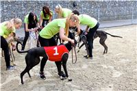 Chrt_dostihy_Praha_Greyhound_Racing_CGDF_Svatovaclavska_cena_2016_144.jpg