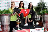 Chrt_dostihy_Praha_Greyhound_Racing_CGDF_Svatovaclavska_cena_2016_147.jpg