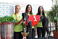 Chrt_dostihy_Praha_Greyhound_Racing_CGDF_Svatovaclavska_cena_2016_149.jpg