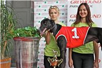 Chrt_dostihy_Praha_Greyhound_Racing_CGDF_Svatovaclavska_cena_2016_151.jpg