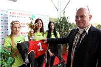 Chrt_dostihy_Praha_Greyhound_Racing_CGDF_Svatovaclavska_cena_2016_152.jpg