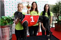 Chrt_dostihy_Praha_Greyhound_Racing_CGDF_Svatovaclavska_cena_2016_153.jpg