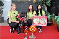 Chrt_dostihy_Praha_Greyhound_Racing_CGDF_Svatovaclavska_cena_2016_161.jpg