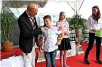 Chrt_dostihy_Praha_Greyhound_Racing_CGDF_Svatovaclavska_cena_2016_182.jpg