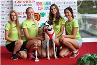 Chrt_dostihy_Greyhound_Racing_Park_Praha_Stewards_CGDF.jpg