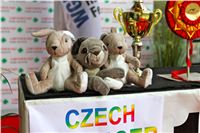 Chrt_dostihy_Praha_Greyhound_Racing_CGDF_ST_LEGER_2016_1_IMG_1230.jpg