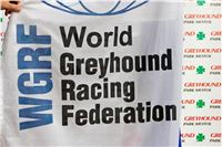 Chrt_dostihy_Praha_Greyhound_Racing_CGDF_ST_LEGER_2016_IMG_1004.jpg