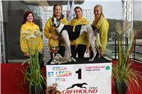 Chrt_dostihy_Praha_Greyhound_Racing_CGDF_ST_LEGER_2016_IMG_1020.jpg