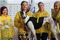 Chrt_dostihy_Praha_Greyhound_Racing_CGDF_ST_LEGER_2016_IMG_1023.jpg