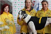 Chrt_dostihy_Praha_Greyhound_Racing_CGDF_ST_LEGER_2016_IMG_1026.jpg