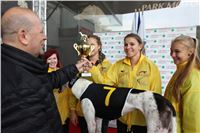 Chrt_dostihy_Praha_Greyhound_Racing_CGDF_ST_LEGER_2016_IMG_1035.jpg