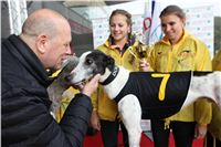 Chrt_dostihy_Praha_Greyhound_Racing_CGDF_ST_LEGER_2016_IMG_1043.jpg