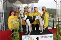Chrt_dostihy_Praha_Greyhound_Racing_CGDF_ST_LEGER_2016_IMG_1050.jpg