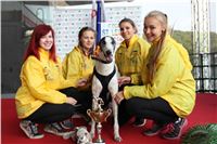 Chrt_dostihy_Praha_Greyhound_Racing_CGDF_ST_LEGER_2016_IMG_1054.jpg