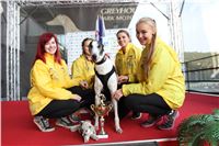 Chrt_dostihy_Praha_Greyhound_Racing_CGDF_ST_LEGER_2016_IMG_1059.jpg