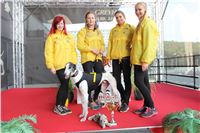 Chrt_dostihy_Praha_Greyhound_Racing_CGDF_ST_LEGER_2016_IMG_1065.jpg