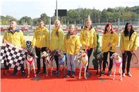 Chrt_dostihy_Praha_Greyhound_Racing_CGDF_ST_LEGER_2016_IMG_1088.jpg