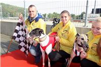 Chrt_dostihy_Praha_Greyhound_Racing_CGDF_ST_LEGER_2016_IMG_1095.jpg