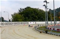 Chrt_dostihy_Praha_Greyhound_Racing_CGDF_ST_LEGER_2016_IMG_1100.jpg
