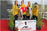 Chrt_dostihy_Praha_Greyhound_Racing_CGDF_ST_LEGER_2016_IMG_1161.jpg