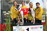Chrt_dostihy_Praha_Greyhound_Racing_CGDF_ST_LEGER_2016_IMG_1175.jpg