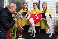 Chrt_dostihy_Praha_Greyhound_Racing_CGDF_ST_LEGER_2016_IMG_1189.jpg