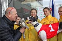 Chrt_dostihy_Praha_Greyhound_Racing_CGDF_ST_LEGER_2016_IMG_1190.jpg