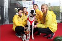 Chrt_dostihy_Praha_Greyhound_Racing_CGDF_ST_LEGER_2016_IMG_1194.jpg