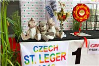 Chrt_dostihy_Praha_Greyhound_Racing_CGDF_ST_LEGER_2016_IMG_1223.jpg