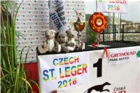 Chrt_dostihy_Praha_Greyhound_Racing_CGDF_ST_LEGER_2016_IMG_1231.jpg
