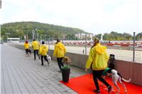 Chrt_dostihy_Praha_Greyhound_Racing_CGDF_ST_LEGER_2016_IMG_1235.jpg