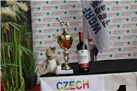 Chrt_dostihy_Praha_Greyhound_Racing_CGDF_ST_LEGER_2016_IMG_1300.jpg