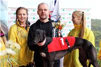 Chrt_dostihy_Praha_Greyhound_Racing_CGDF_ST_LEGER_2016_IMG_1321.jpg