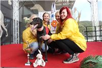 Chrt_dostihy_Praha_Greyhound_Racing_CGDF_ST_LEGER_2016_IMG_1339.jpg