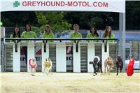 Chrt_dostihy_Greyhound_Racing_Park_Motol_Praha_rozhovor_CGDF_1.jpg