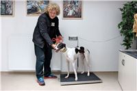 Chrt_dostihy_Greyhound_Racing_Park_Motol_Praha_rozhovor_CGDF_Stewardi_1.jpg