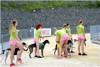 Chrt_dostihy_Greyhound_Racing_Park_Motol_Praha_rozhovor_CGDF_Stewardi_2.jpg