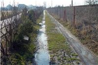 Chrti_dostihova_draha_Praskacka_2004.jpg Chrti_dostihova_draha_Praskacka_2004.jpg