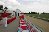 Chrti_dostihy_Czech_Greyhound_Racing_Federation_CGRF_Track_Praskacka_After-2.jpg