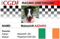 Azzaro_zavodni_chrt_Ceska_greyhound_dostihova_federace_CGDF.jpg