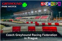 Chrti_dostihy_Czech_Greyhound_Racing_Prague_CGDF_Greyhound_Park_Motol_5.jpg