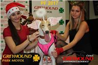 Chrt_dostihy_PF_2017_Greyhound_Racing_Park_Motol_CGDF_Vuitton_r.jpg