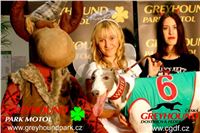 Chrt_dostihy_PF_2017_Greyhound_Racing_Park_Motol_CGDF_sob.jpg