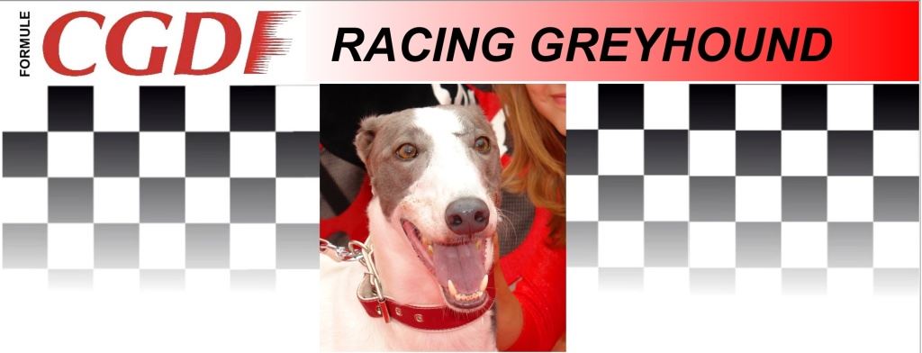 White_zavodni_chrt_Ceska_greyhound_dostihova_federace_CGDF.jpg White_zavodni_chrt_Ceska_greyhound_dostihova_federace_CGDF.jpg