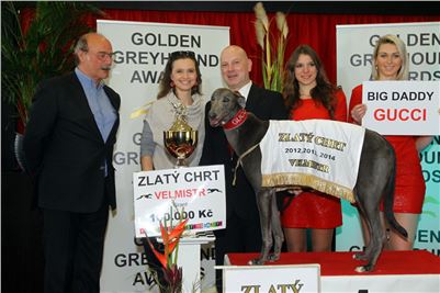 Greyhound_Park_Motol_Golden_Greyhound_Awards_Chrti_Oskari_PANK2149_resize.jpg